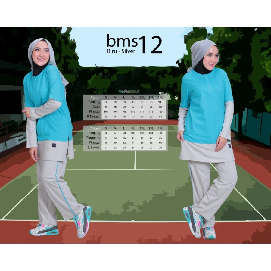 BMS 12
